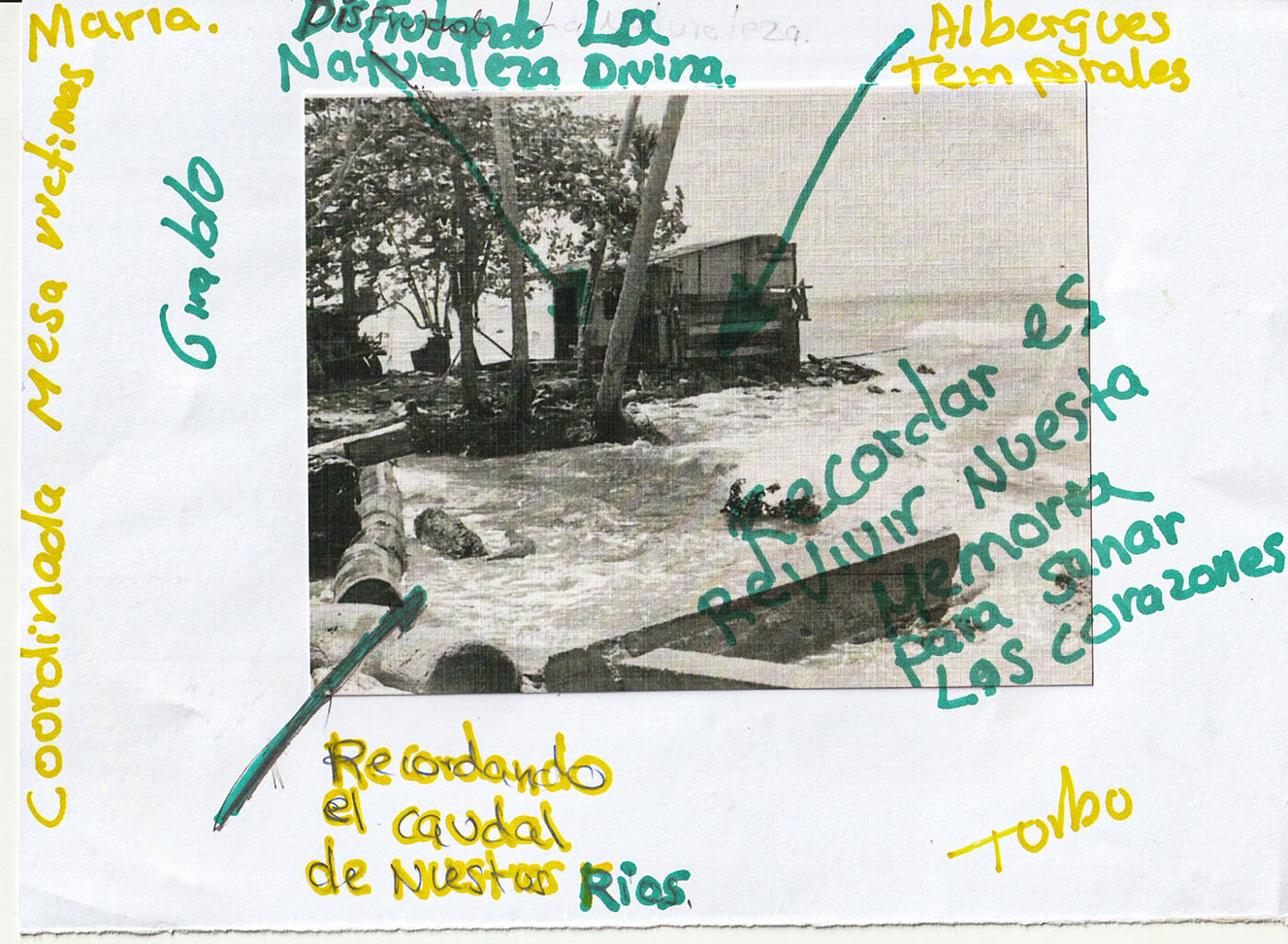 Imagen 11