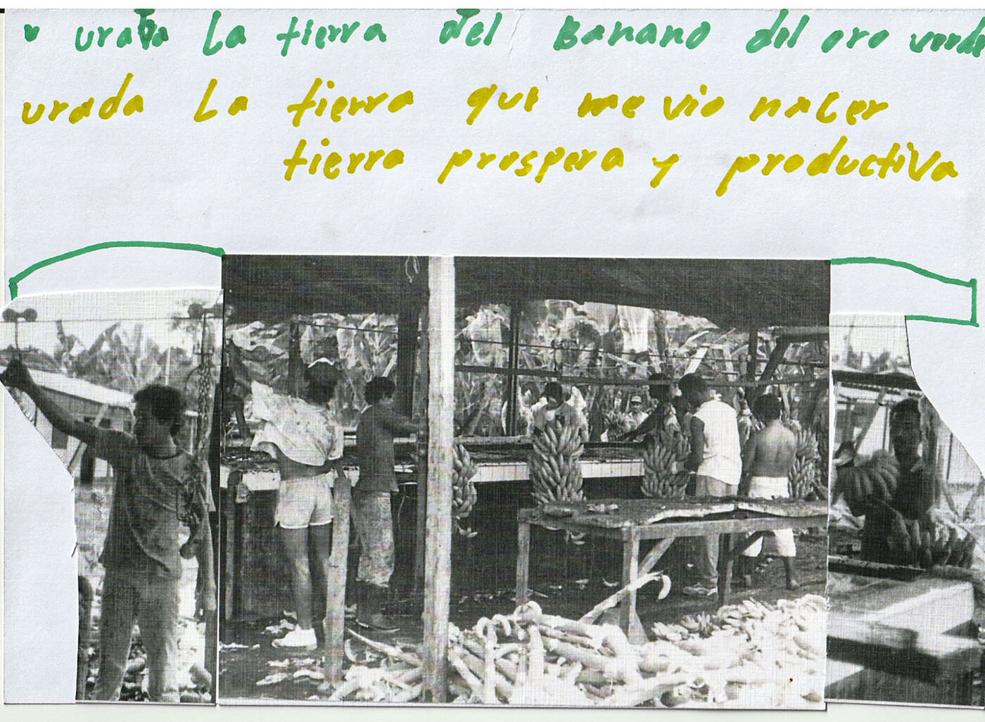 Imagen 14
