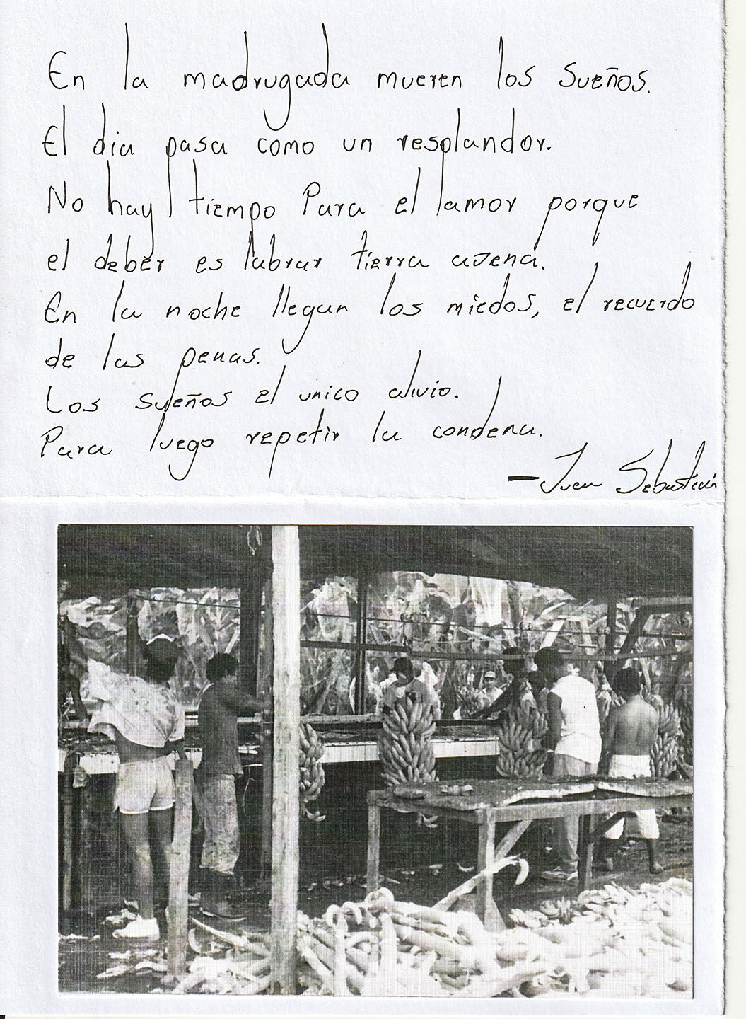 Imagen 26