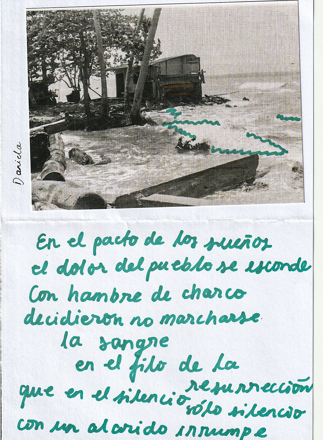 Imagen 28