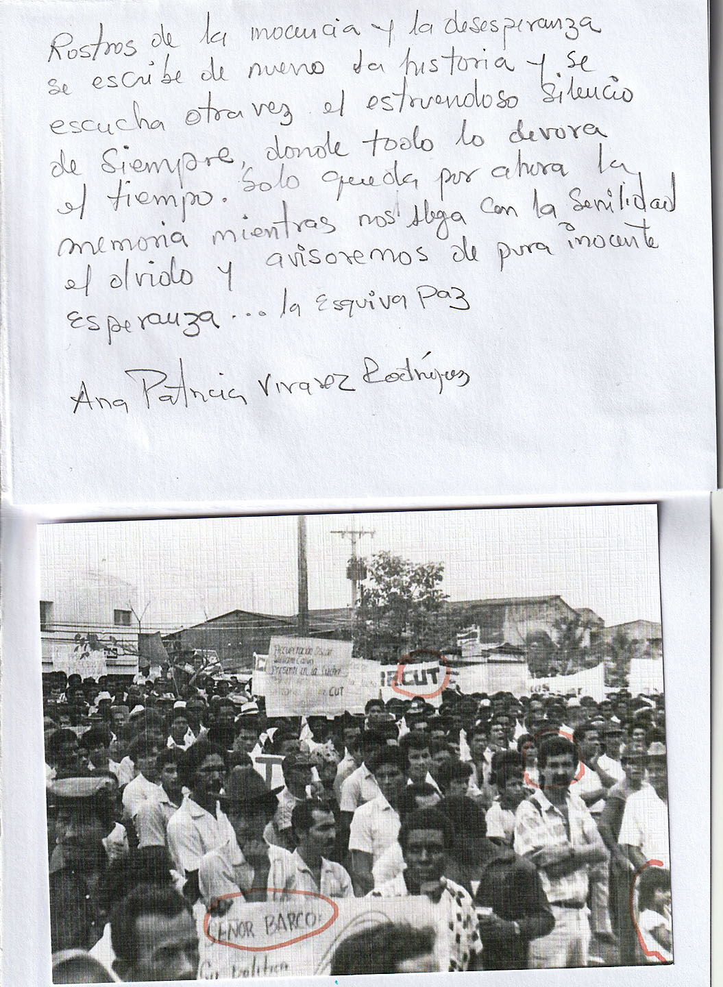 Imagen 29
