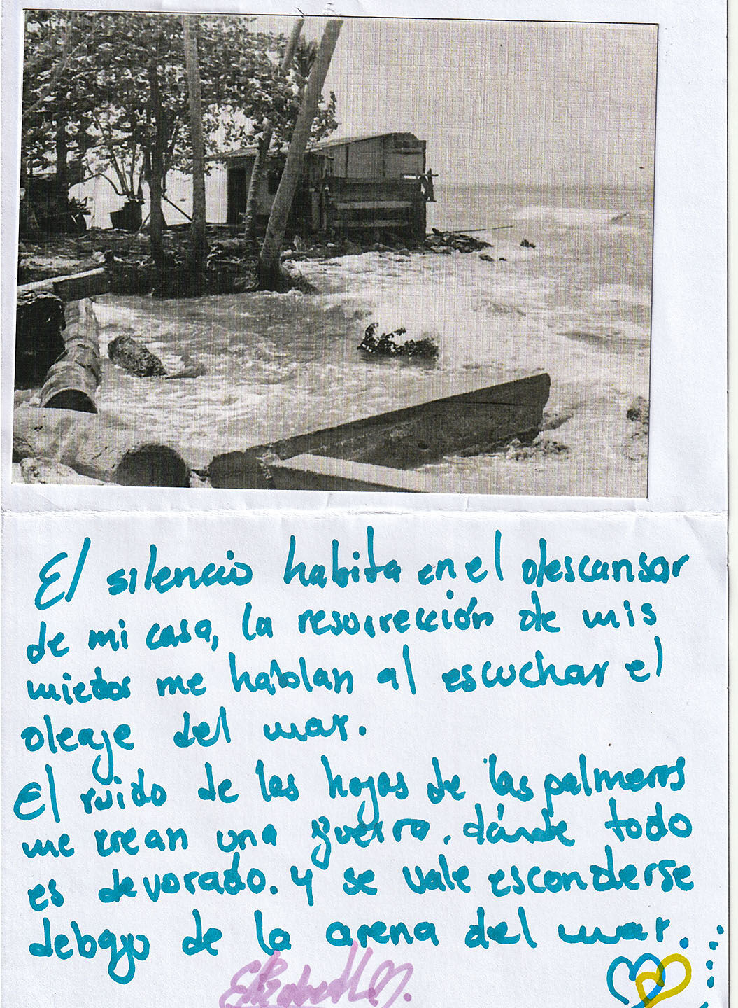 Imagen 34