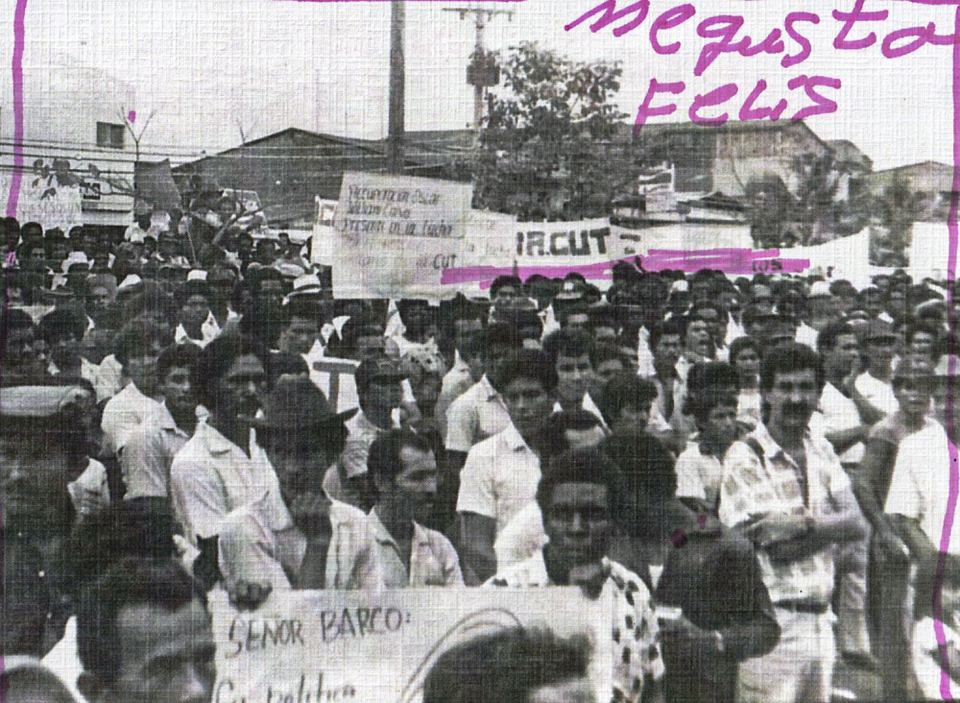 Imagen 44