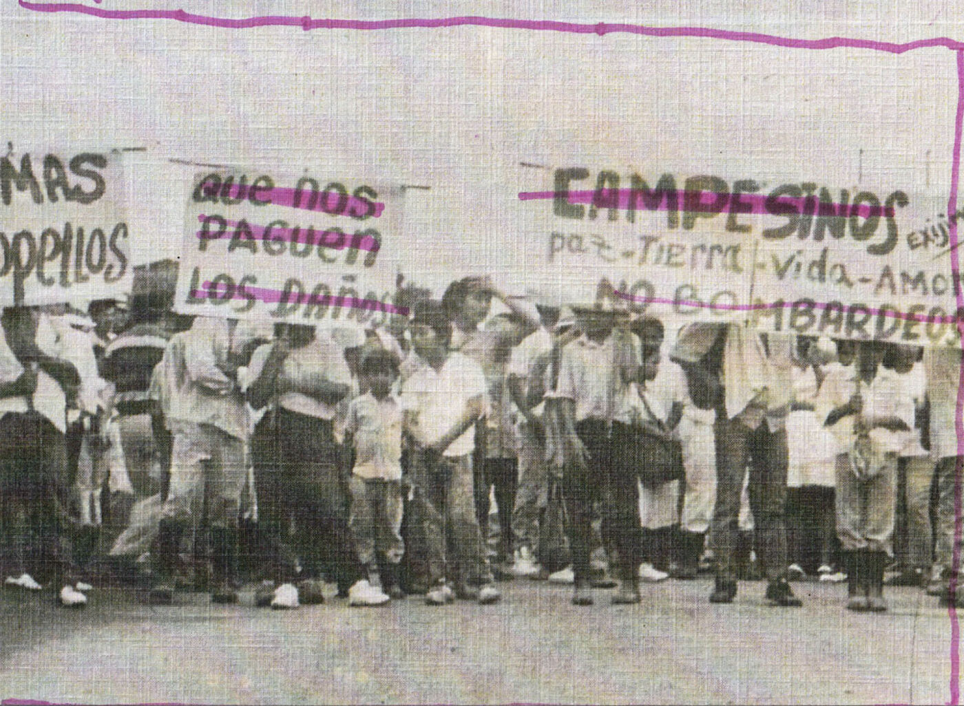 Imagen 22