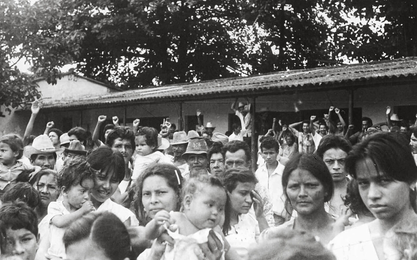 Imagen 54